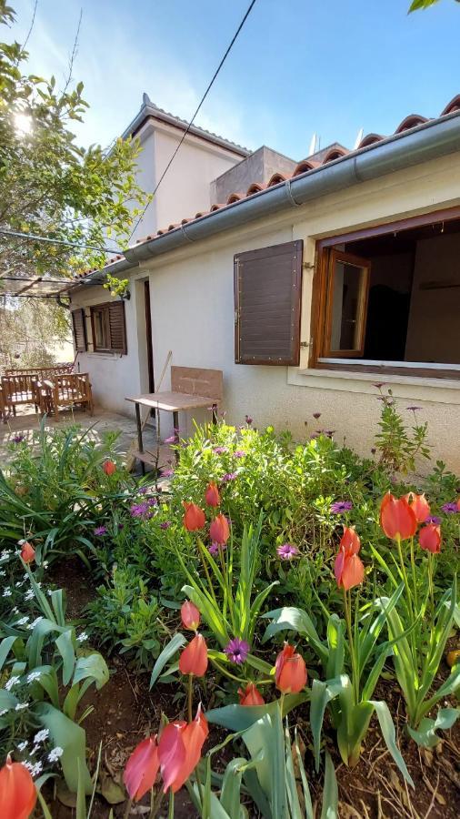 Apartman Kristina And Free Parking Mali Lošinj Eksteriør billede